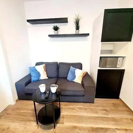 One Bedroom Flat In Center Appartement